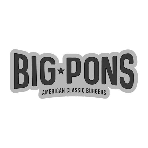 logo-bigpons